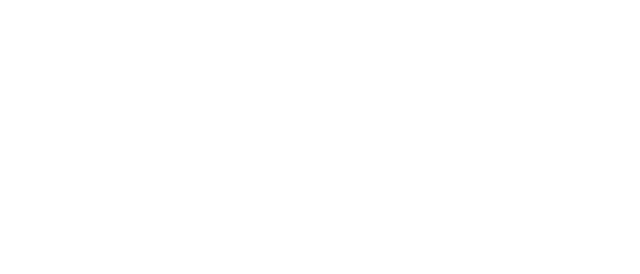 Wellteam Global Challenge Logo